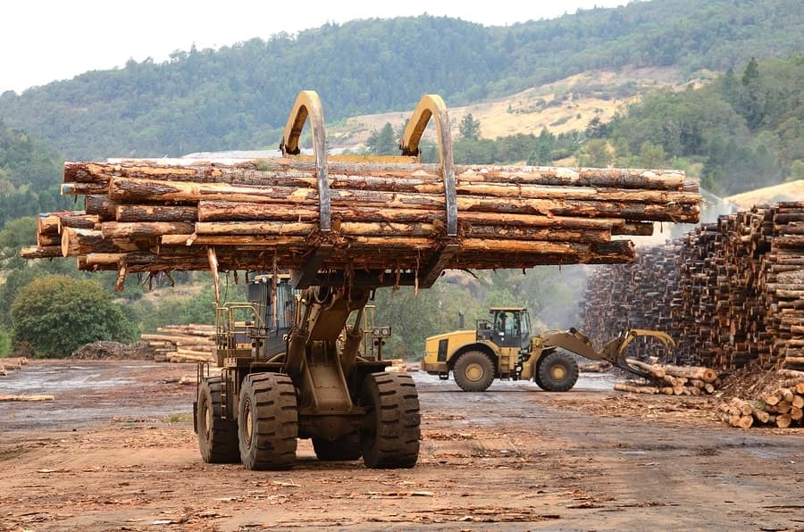 Ghana: Collapsed businesses, unimplemented laws lead to dwindling volume, value for exported timber this year